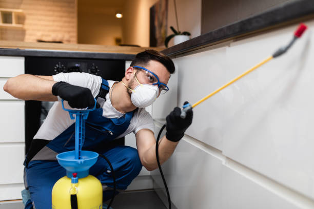 Best Pest Control Near Me  in Crofton, MD