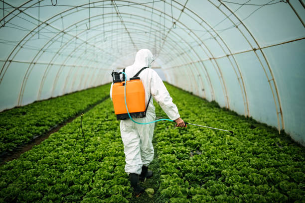 Best Emergency Pest Control  in Crofton, MD