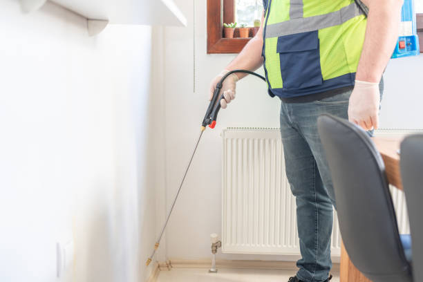 Wasp Removal Services in Crofton, MD