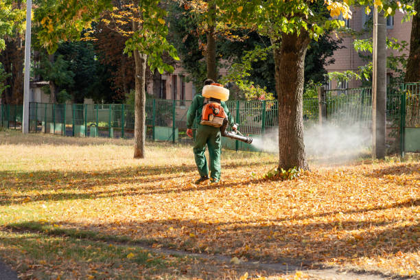 Best Mosquito Control Services  in Crofton, MD
