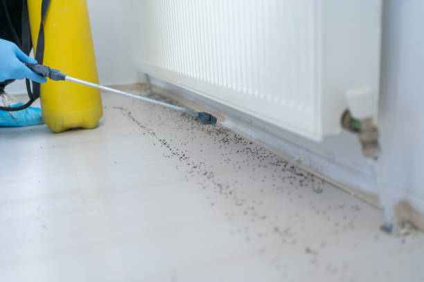 Pest Control for Restaurants in Crofton, MD